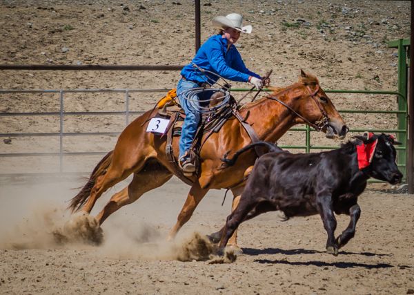 ranch horse competition