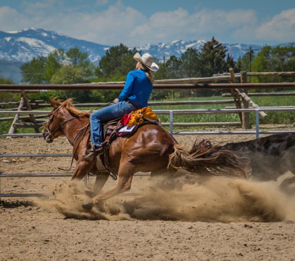 ranch horse - turning back