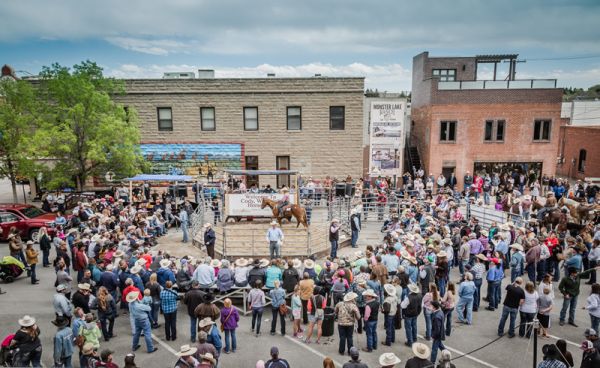 Downtown Cody Horse Sale