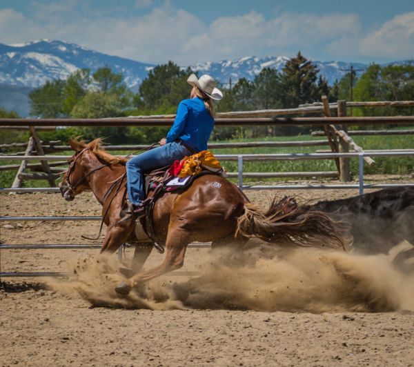 Cody Horse Sale, Downtown Cody Wyoming, Events in Cody