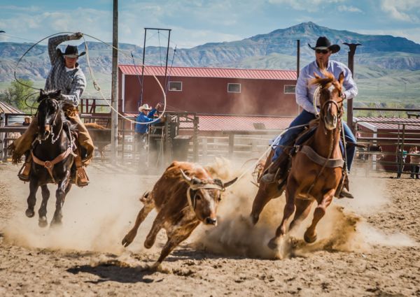 roping demonstrations