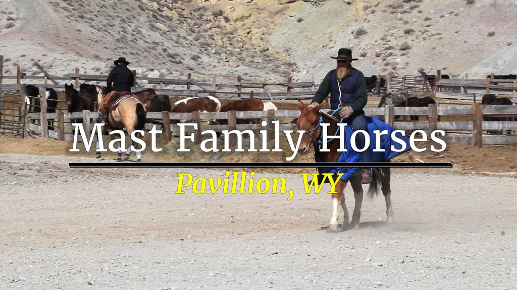 Mast Family Horses