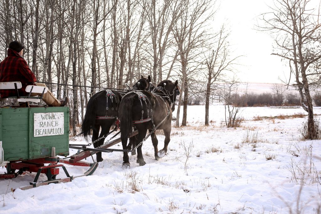 Wowk Ranch Ltd