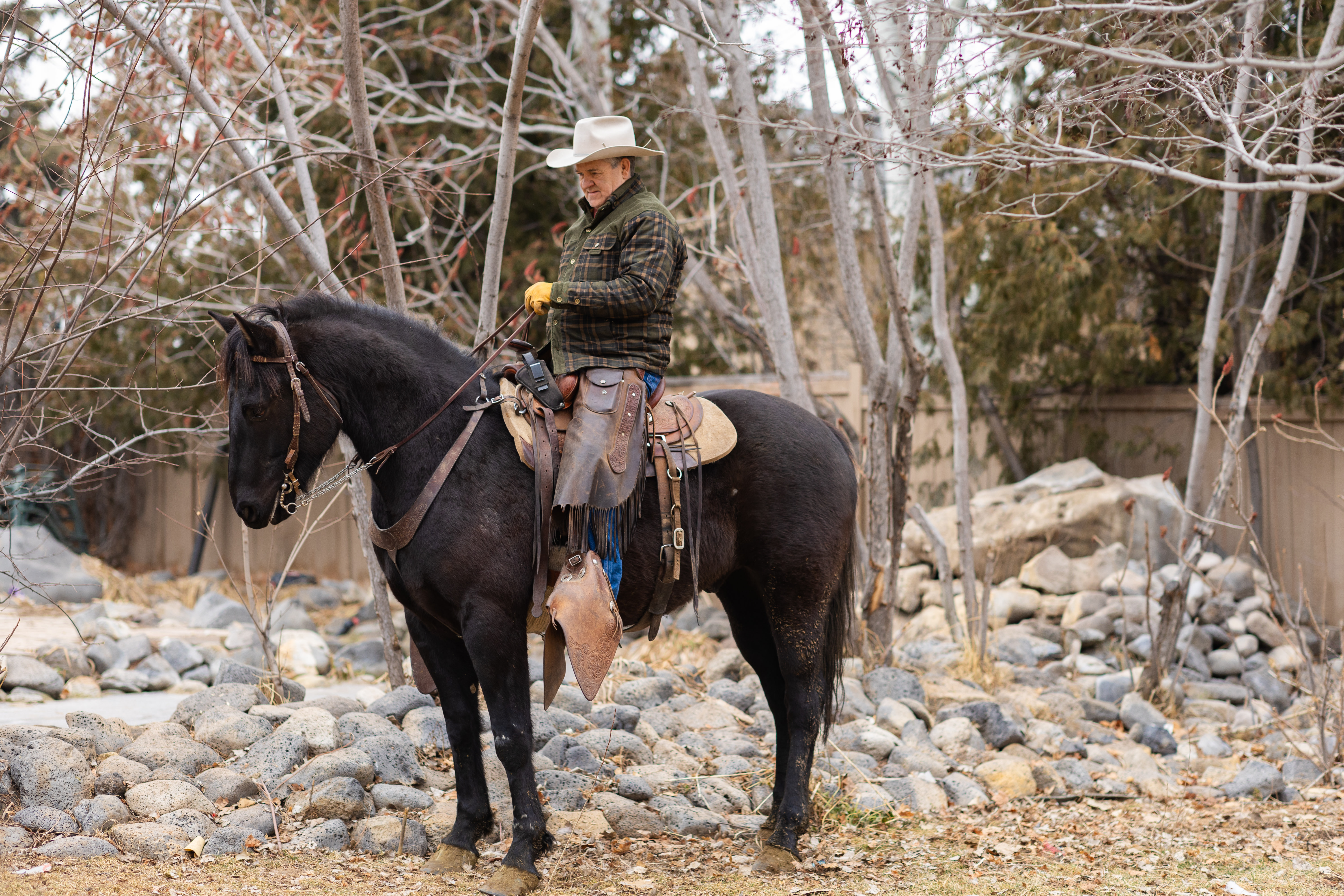 Acero side view with rider