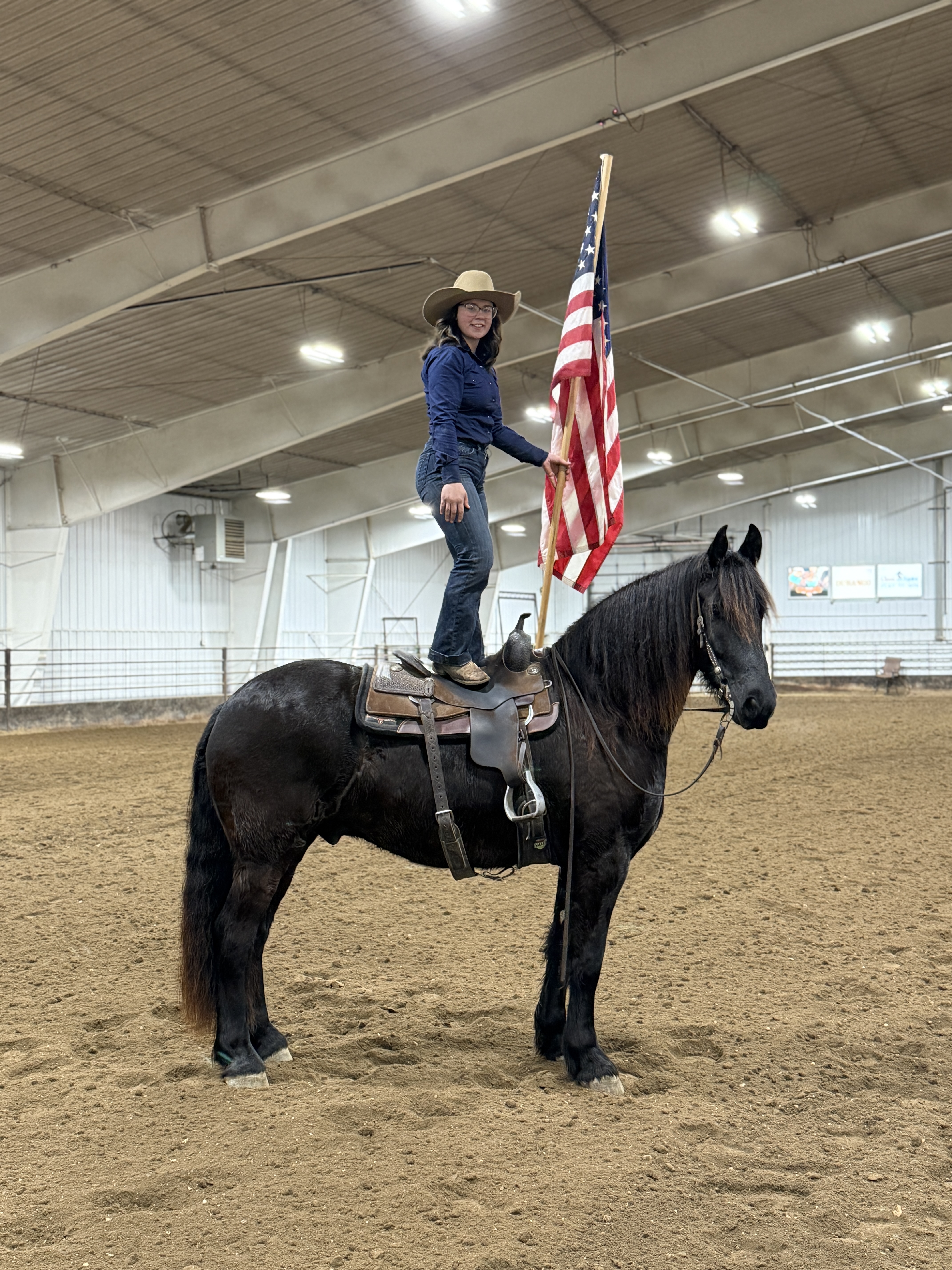 trail horse
