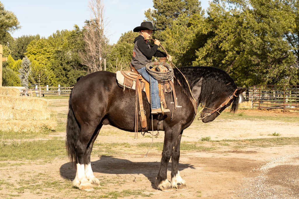 Saddled