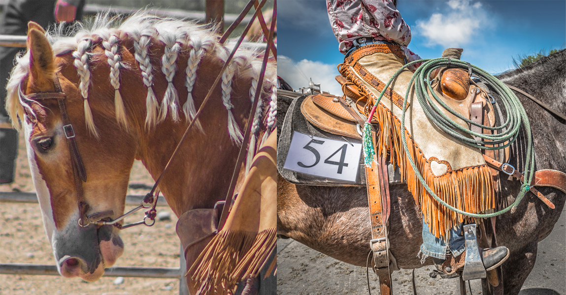Cody Horse Sale, Downtown Cody Wyoming, Events in Cody