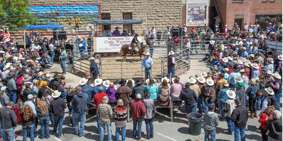 horse sale, horse for sale, Cody, Cody Wyoming, horse auction